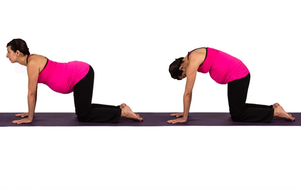 Four Prenatal Poses For Pregnant Yogis